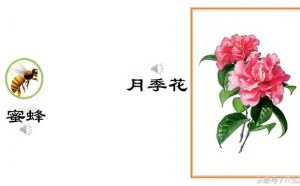 PPT课件之发声图片的制作方法