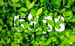 鬼工老师PS制作藏在绿叶中渐隐渐现的艺术字鬼工山庄