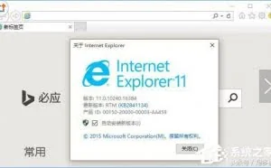 Win10系统如何禁止IE浏览器运行？