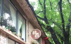 99%的人都不知道微信总部在哪里