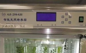 中国科学家在准备：想在月球上开出人类第一朵花