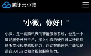 张小龙的第二胎“小微”来了，小程序会失宠吧。。
