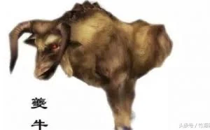 龙在古代是真实存在的吗？看山海经和易经就知道了