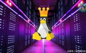 Linux统治超级计算机 Top500几乎全部运行Linux