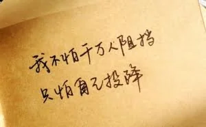 网赚赚钱创业项目