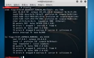 ARP欺骗：可以知道对方在浏览什么网页，看什么图片！