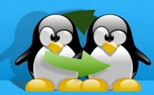 在 Linux 中使用 shell 脚本自动创建/移除并挂载交换文件