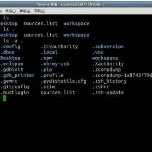 Linux快捷键和常用命令
