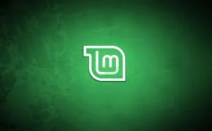 Linux Mint：公认比 Ubuntu 更好用的个人桌面级 Linux 操作系统发行版