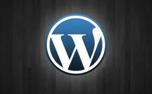 选择正确姿势备份/迁移WordPress网站方法