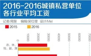 程序员高薪“盛宴”背后：人才结构性过剩和缺失共存