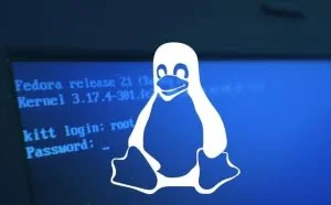 花无涯：黑客最喜欢Linux 的原因？