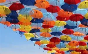 3万把共享雨伞被抢光：其实 赚大了！