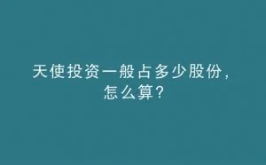 天使投资一般占多少股份，怎么算？