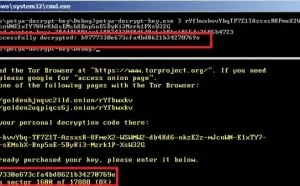 Petya 勒索软件作者公开解密主密钥