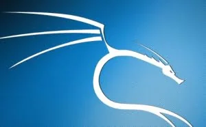 常用简单的linux网络配置操作命令，让你迅速判断问题出在哪