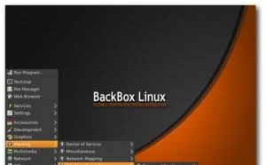 下一代动态网络分析工具FakeNet-NG的Linux平台初体验