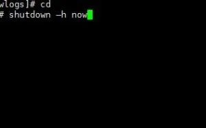 linux服务器上的常用终端命令介绍