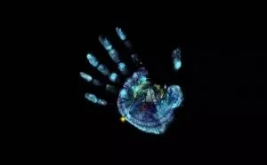 维基解密揭秘CIA五种恶意软件用法