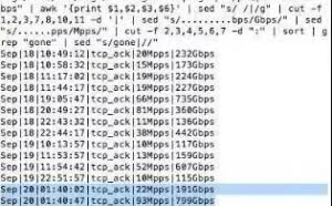 反射型 DDoS 攻击的原理和防范措施