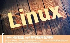 Linux实验室 apt命令应用全解析