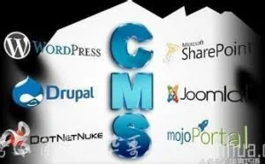 患Wordpress/DEDE/帝国CMS选择困难症 扎一针