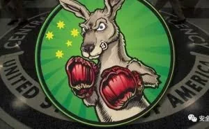 网闸也不安全 中情局用“野蛮袋鼠”就能渗透内网