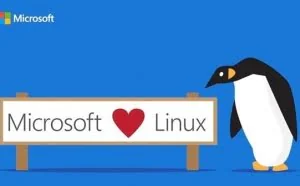 Windows、Linux果然是真爱：服务器上也在一起