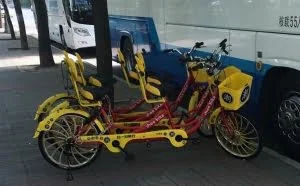 撒狗粮神器 双人共享单车半小时租金5元