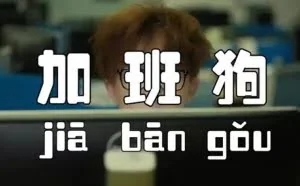 程序员永无止境地加班原因终于水落石出了