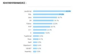 程序员薪资大调查：学哪门编程语言最赚钱？