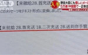 日本女大臣1天内收5万封中文垃圾邮件 为赌博广告