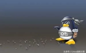 从超级菜鸟变成Linux系统高手