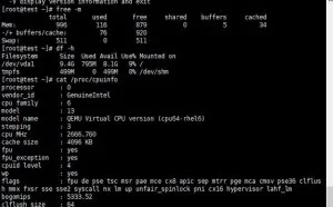 rectified廉价VPS测评：1核1G10GB 免费20