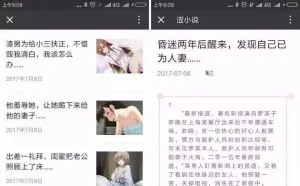 一年赚百万项目揭秘 人性弱点的成交规则！