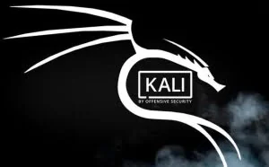 利用kali中的medusa进行ssh密码检测