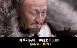想进入安全圈？先学会这些安全“黑话”