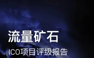 流量矿石项目评级报告