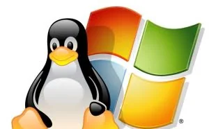 网站服务器选择：Windows VS Linux