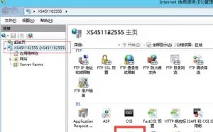 IIS8安装SSL证书