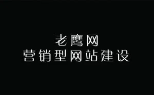 老鹰网揭秘营销型网站赚钱的真相