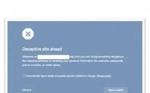 最新调查揭示：网络钓鱼市场盈利丰厚生机蓬勃