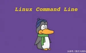 这些Linux命令你可能都没见过