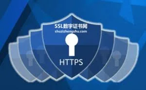 介绍HTTPS网站建设方法