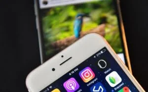 黑客出售Instagram名人帐户信息：搜索一次10美元