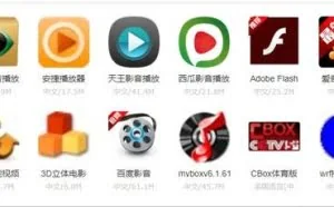 小姐姐带你看Windows上最好的本地视频播放器