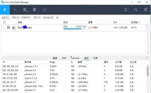全能下载神器:FDM(Free download manager)