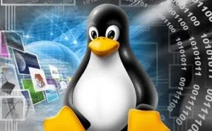 Linux系统你可能还不知道的七件事
