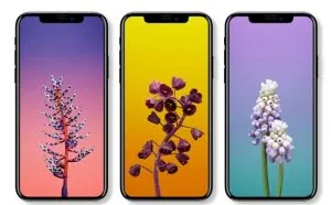 iPhone X处理器/内存/摄像头全曝光
