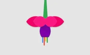谷歌全新操作系统Fuchsia内核曝光：改名Zircon